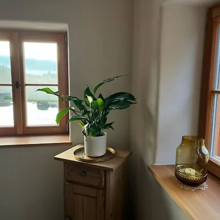 4br Cozy House In *
